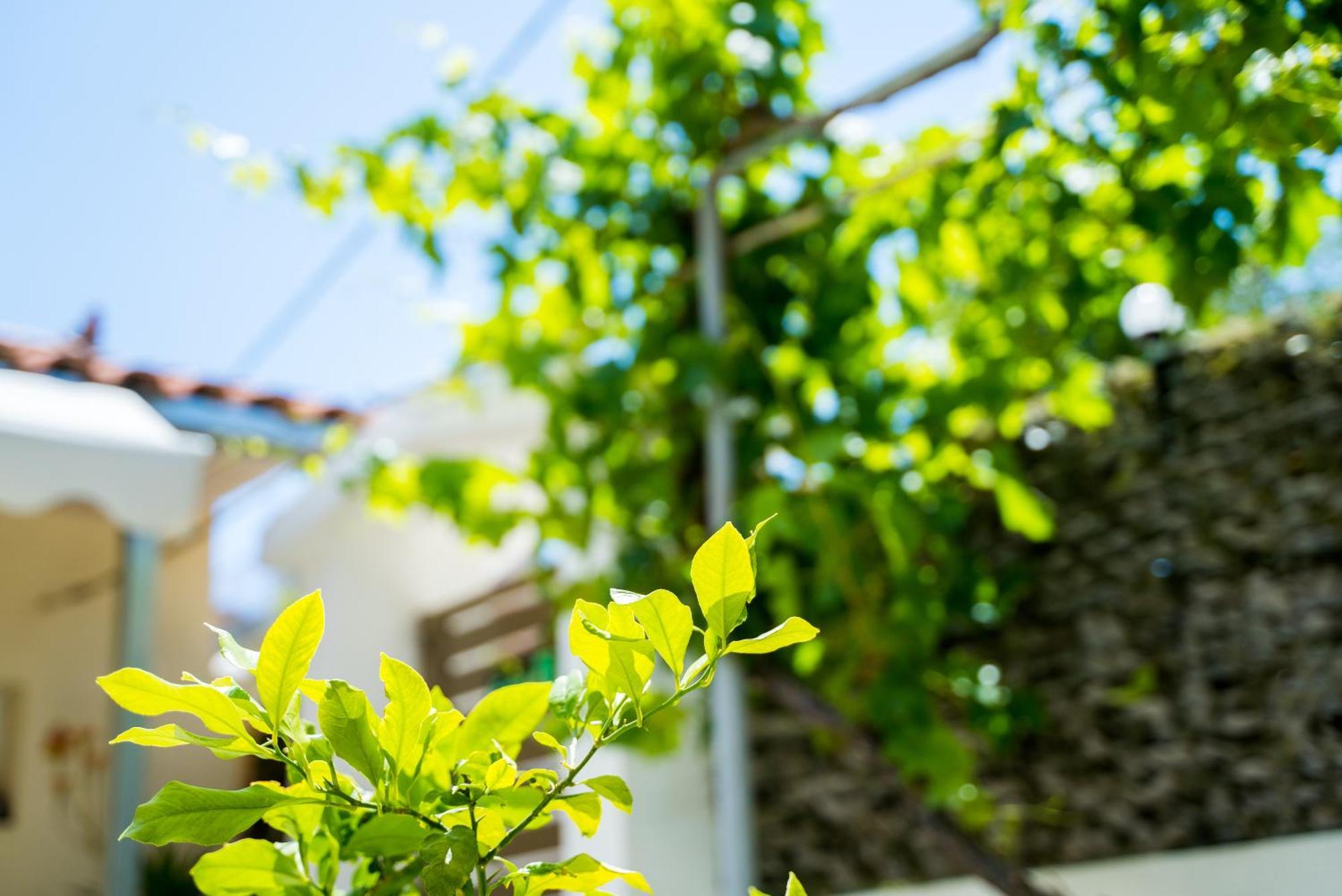 The Dreamhouse Athens Airport Apartment Artemida  Bagian luar foto
